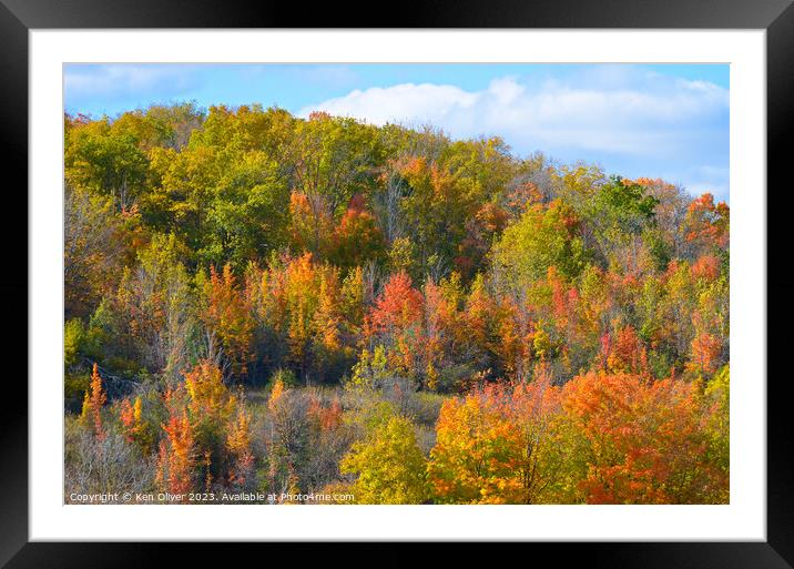 Autumn Warmth Framed Mounted Print by Ken Oliver