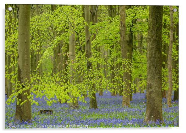 Beech leaves and bluebells  Acrylic by Simon Johnson