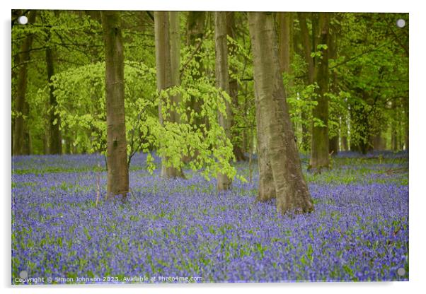 Bluebells and Beech woods  Acrylic by Simon Johnson