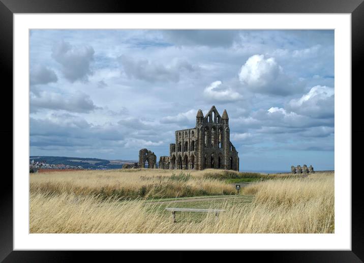 Whitby Abbey Framed Mounted Print by Alison Chambers