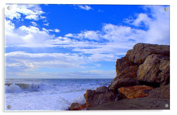 NIZA BEACH Acrylic by Doug Poplett