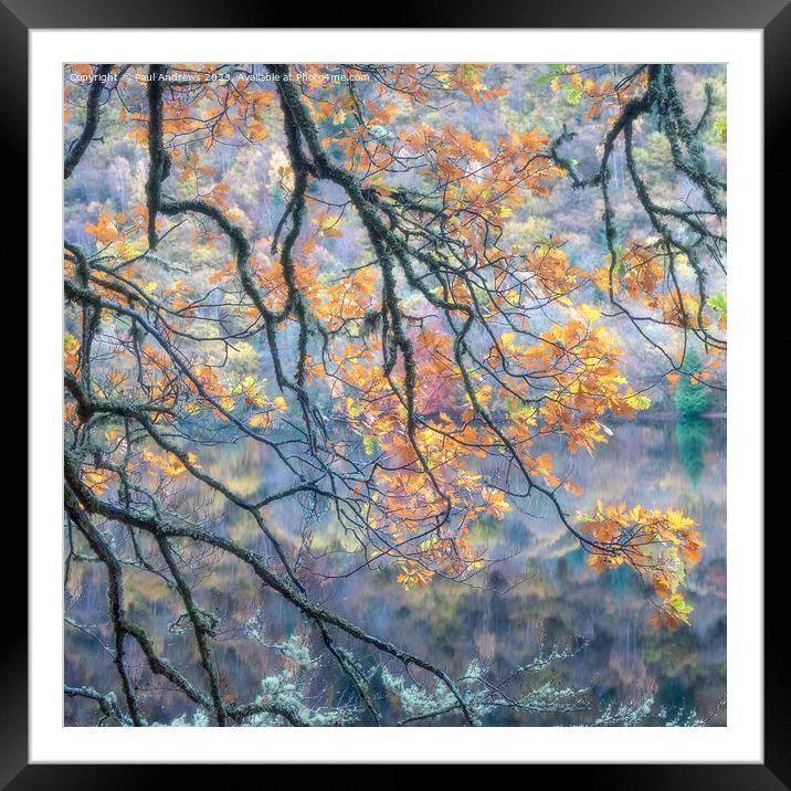Autumn Gold Framed Mounted Print by Paul Andrews