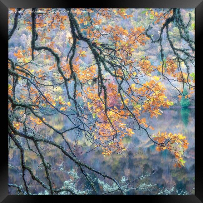 Autumn Gold Framed Print by Paul Andrews
