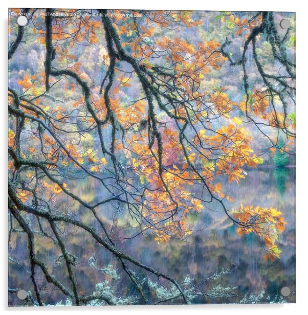 Autumn Gold Acrylic by Paul Andrews