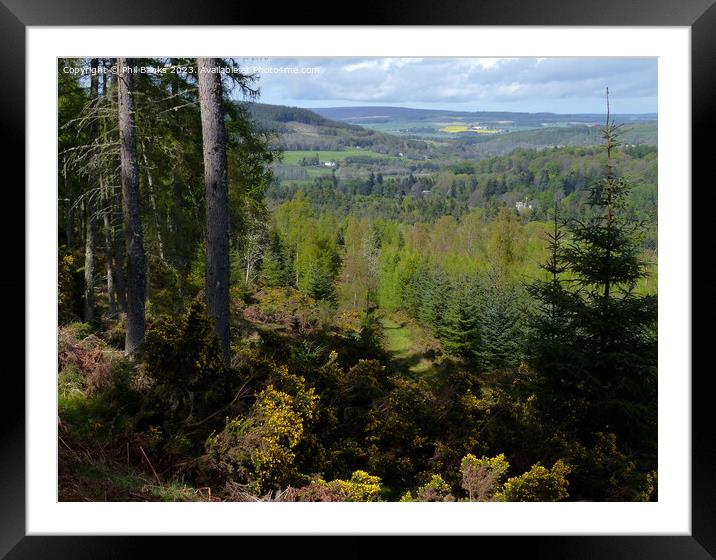 Ballindalloch in Springtime Framed Mounted Print by Phil Banks