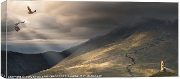 ON THE SLOPES OF BLENCATHRA Canvas Print by Tony Sharp LRPS CPAGB
