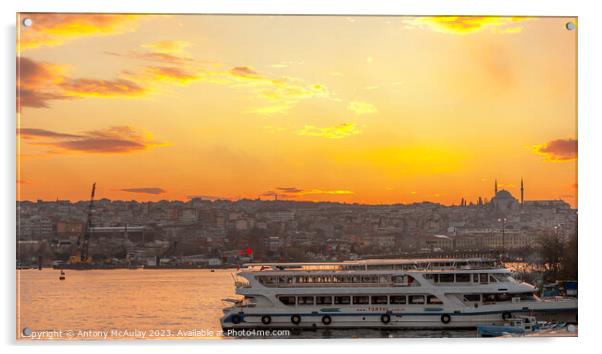 Istanbul Bosphorus Tour Boat Acrylic by Antony McAulay