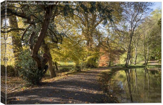 Autumn walk in Surrey Canvas Print by Kevin White