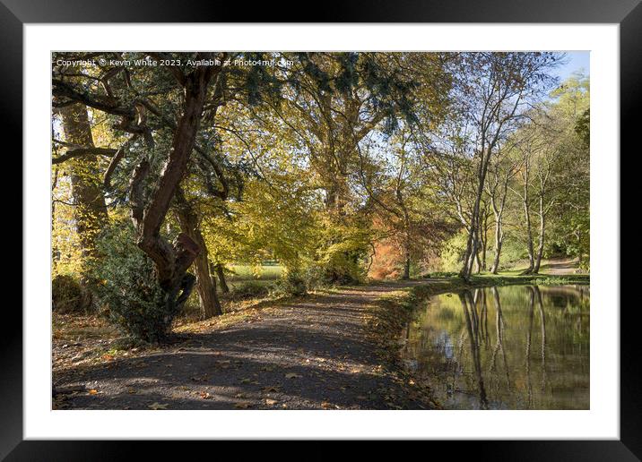 Autumn walk in Surrey Framed Mounted Print by Kevin White