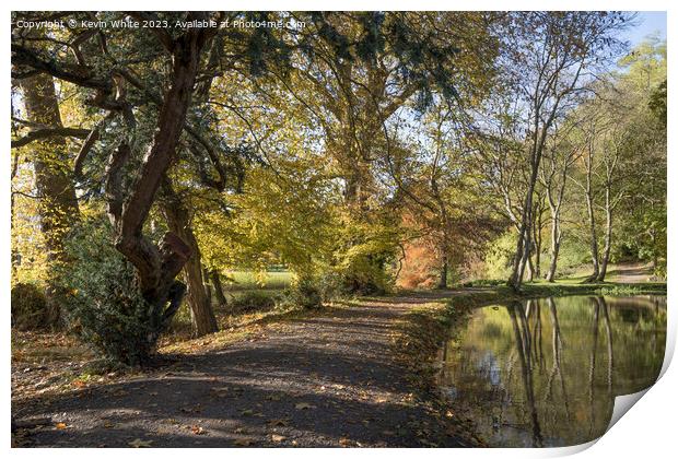 Autumn walk in Surrey Print by Kevin White