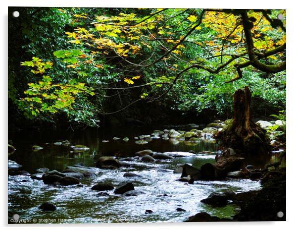 Autumnal River Scene Acrylic by Stephen Hamer