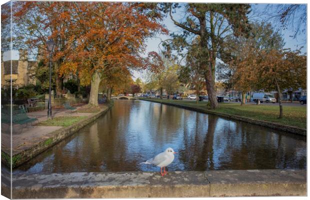 Bourton-on-the-Water Canvas Print by Alan Tunnicliffe