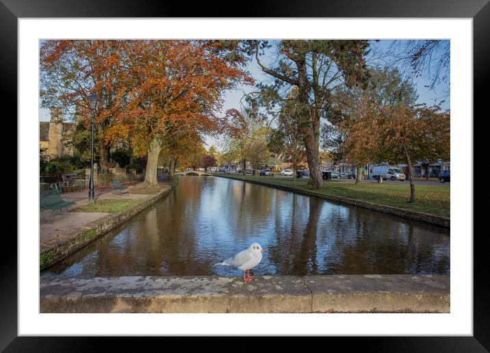 Bourton-on-the-Water Framed Mounted Print by Alan Tunnicliffe