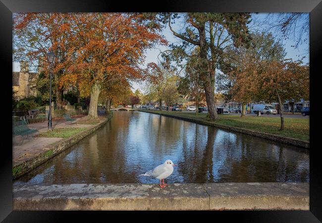 Bourton-on-the-Water Framed Print by Alan Tunnicliffe
