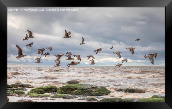 All at Once Framed Print by Andy Salter