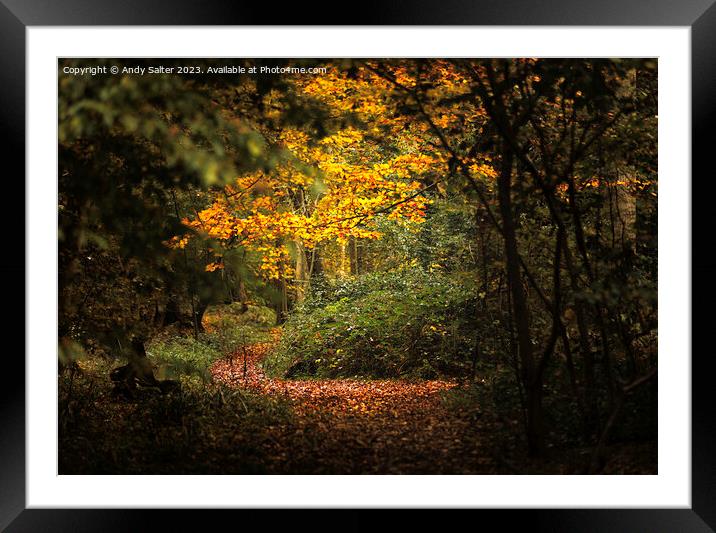 Autumn Walk at Hanningfield Reservoir Framed Mounted Print by Andy Salter