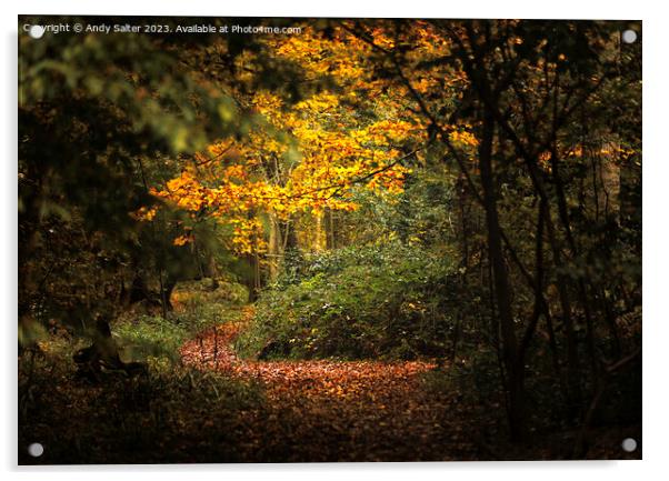 Autumn Walk at Hanningfield Reservoir Acrylic by Andy Salter