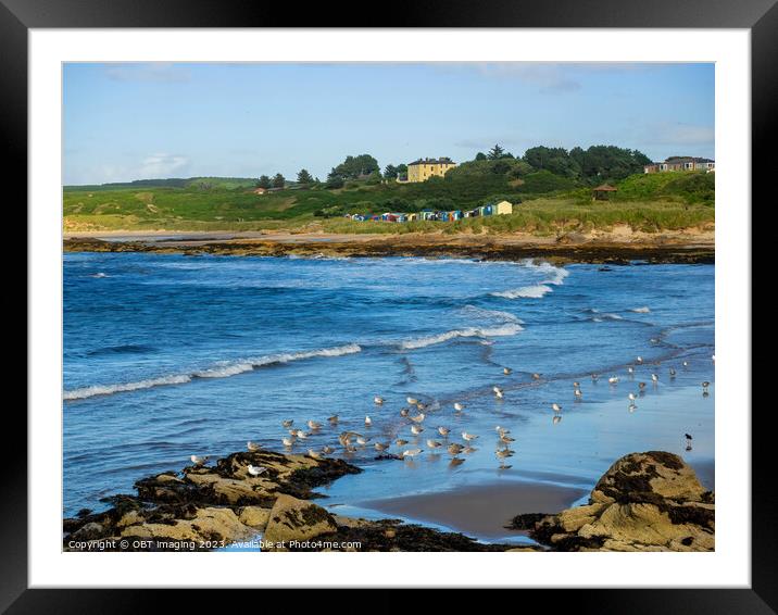 Hopeman Beach Bay & Beach Huts Morayshire North East Scotland  Framed Mounted Print by OBT imaging