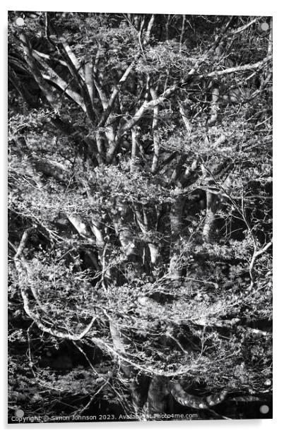 Acrer Tree in Monohrome Acrylic by Simon Johnson