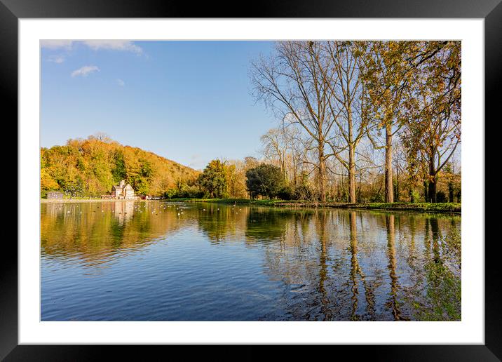 Autumn colours and reflections - Swanbourne Lake,  Framed Mounted Print by Malcolm McHugh