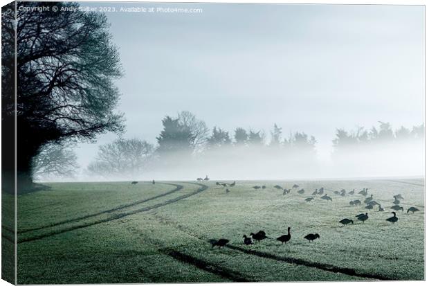 Geese and Early Mist Canvas Print by Andy Salter