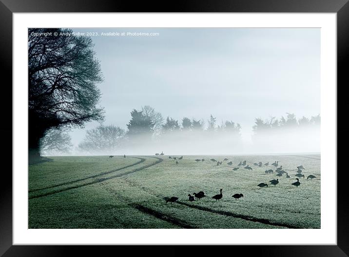 Geese and Early Mist Framed Mounted Print by Andy Salter