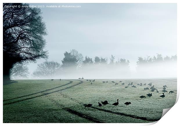 Geese and Early Mist Print by Andy Salter