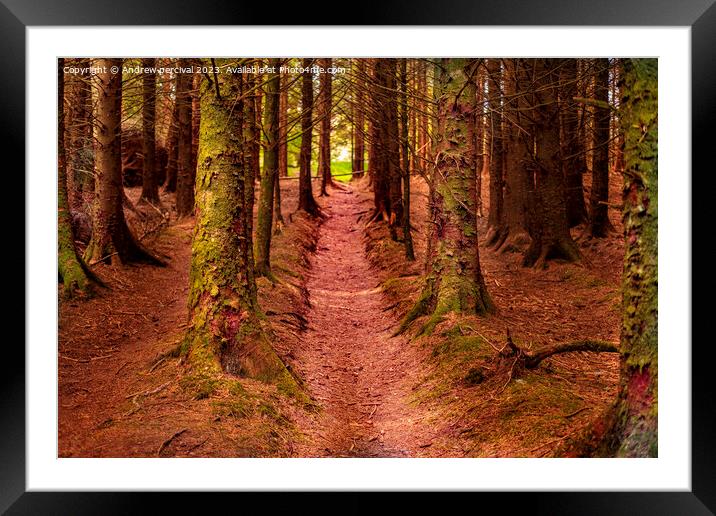 the forest  Framed Mounted Print by Andrew percival