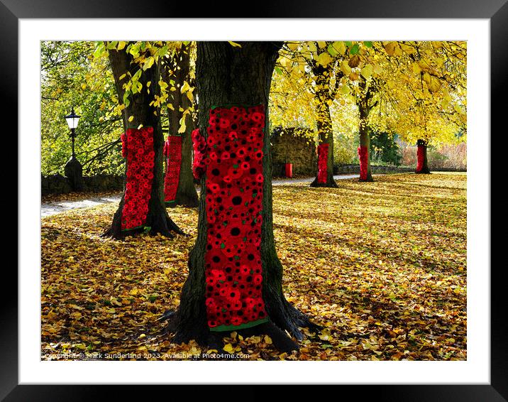 Remembrance Poppies on Autumn Trees in Knaresborough Framed Mounted Print by Mark Sunderland