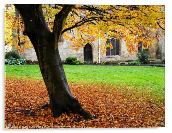 Autumn Beech Tree at St Johns Church Knaresborough Acrylic by Mark Sunderland
