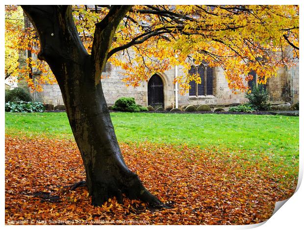 Autumn Beech Tree at St Johns Church Knaresborough Print by Mark Sunderland