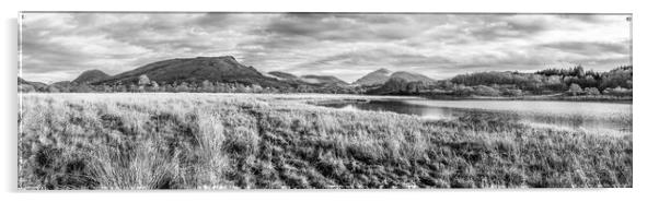 Highland mountains and Loch Awe Acrylic by Andrea Obzerova