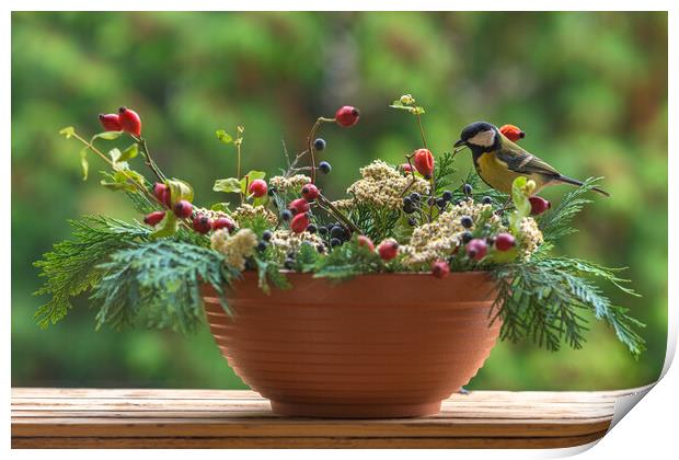 Great tit sitting on a rose hip branch in a winter themed flower bouquet. Print by Andrea Obzerova