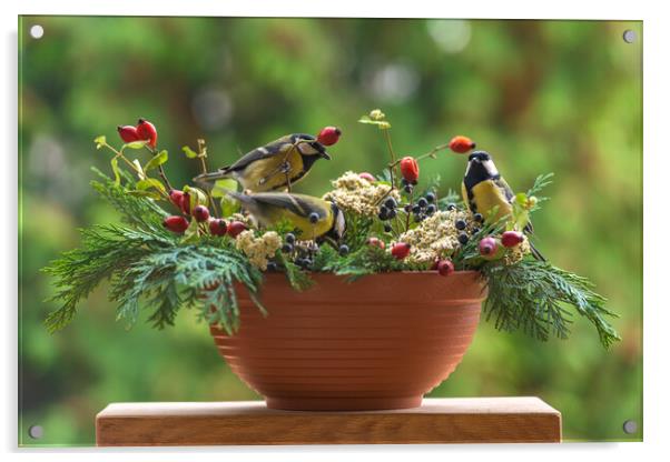Group of great tit birds sitting on a rose hip branch. Acrylic by Andrea Obzerova