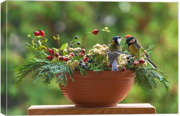 Group of great tit birds sitting on a rose hip branch. Canvas Print by Andrea Obzerova