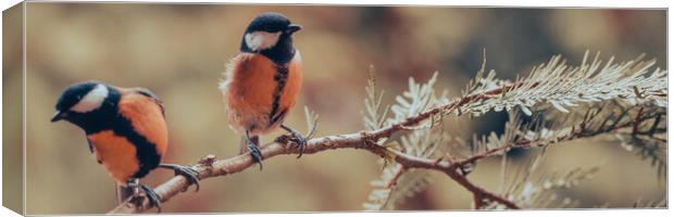 Great tit, Parus major, sitting on a branch.  Canvas Print by Andrea Obzerova