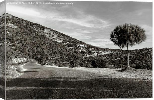 A Quiet Road Canvas Print by Andy Salter