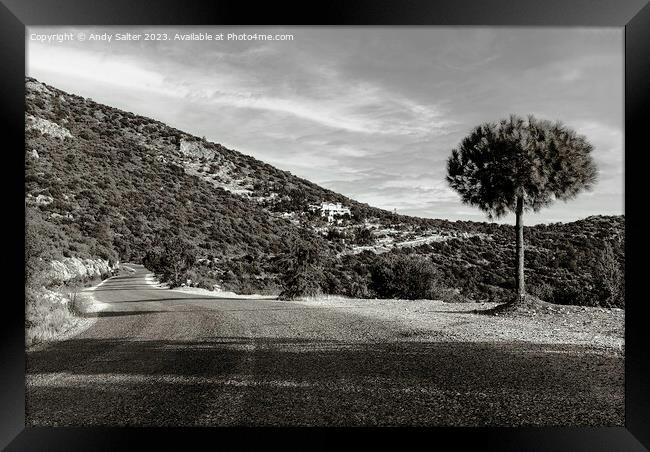 A Quiet Road Framed Print by Andy Salter