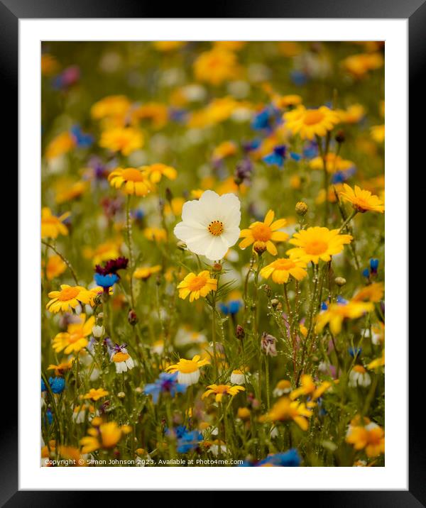 meadow flowers Soft focus Framed Mounted Print by Simon Johnson