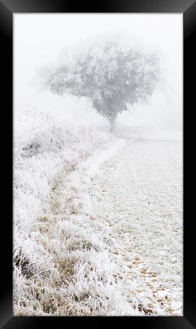Fog and Frost Framed Print by Kevin Howchin