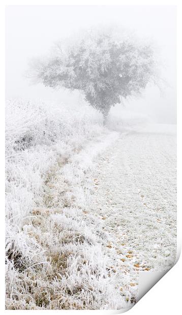 Fog and Frost Print by Kevin Howchin