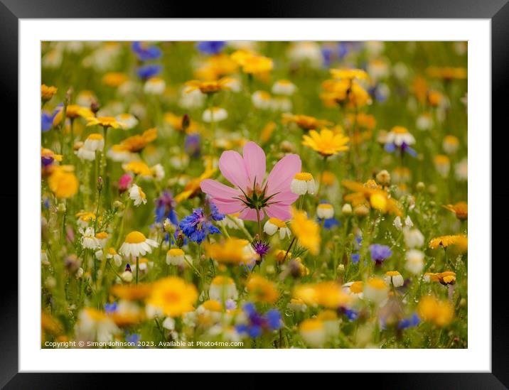 meadow flower soft focus Framed Mounted Print by Simon Johnson