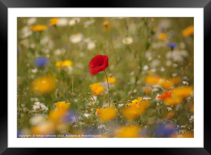 Poppy flower soft focus Framed Mounted Print by Simon Johnson
