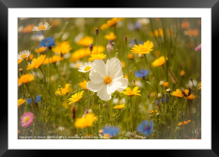  Meadow flower ( soft focus) Framed Mounted Print by Simon Johnson