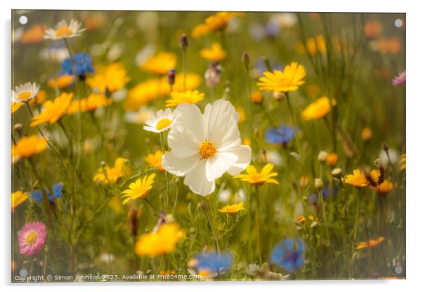  Meadow flower ( soft focus) Acrylic by Simon Johnson