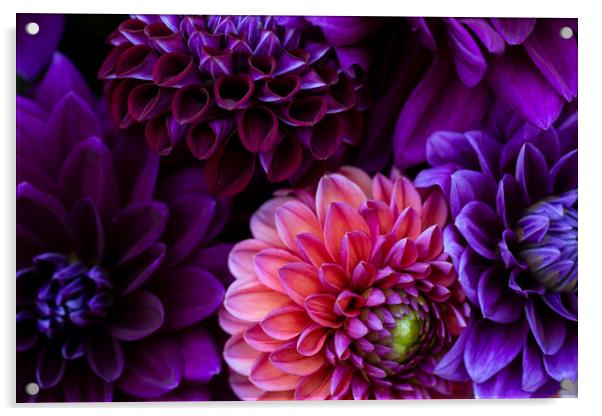 Dahlia flowers close up. Acrylic by Andrea Obzerova