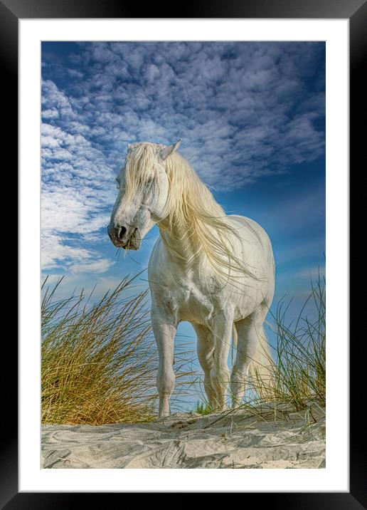 Lunch in the Sand dunes Framed Mounted Print by Helkoryo Photography