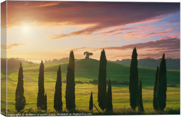 Landscape in Maremma. Cypresses and Rolling hills. Tuscany Canvas Print by Stefano Orazzini