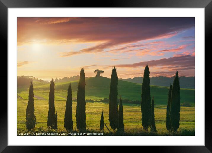 Landscape in Maremma. Cypresses and Rolling hills. Tuscany Framed Mounted Print by Stefano Orazzini
