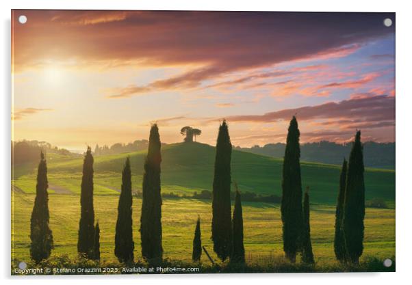 Landscape in Maremma. Cypresses and Rolling hills. Tuscany Acrylic by Stefano Orazzini